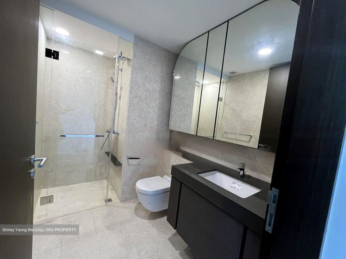 Avenue South Residence (D3), Apartment #454447841